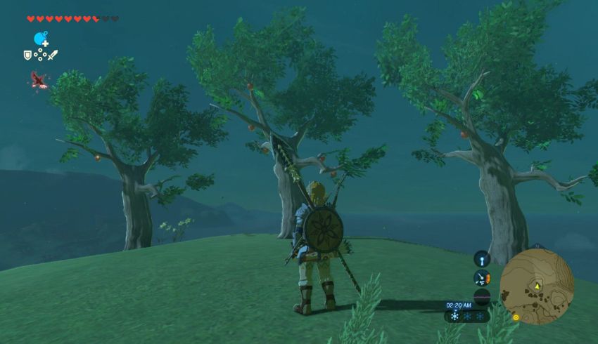 Akkala Korok Seed Locations Zelda Dungeon