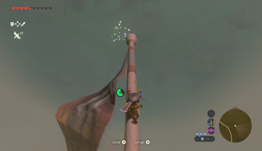 Central Korok Seed Locations Zelda Dungeon