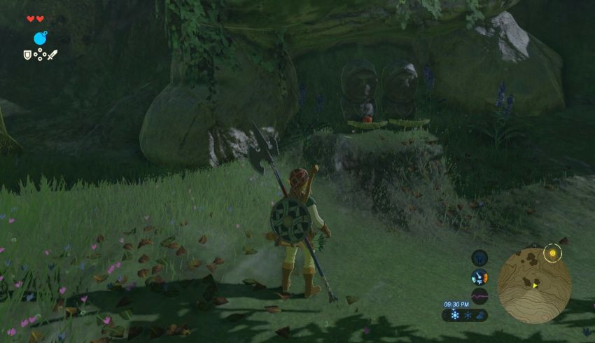 Dueling Peaks Korok Seed Locations - Zelda Dungeon