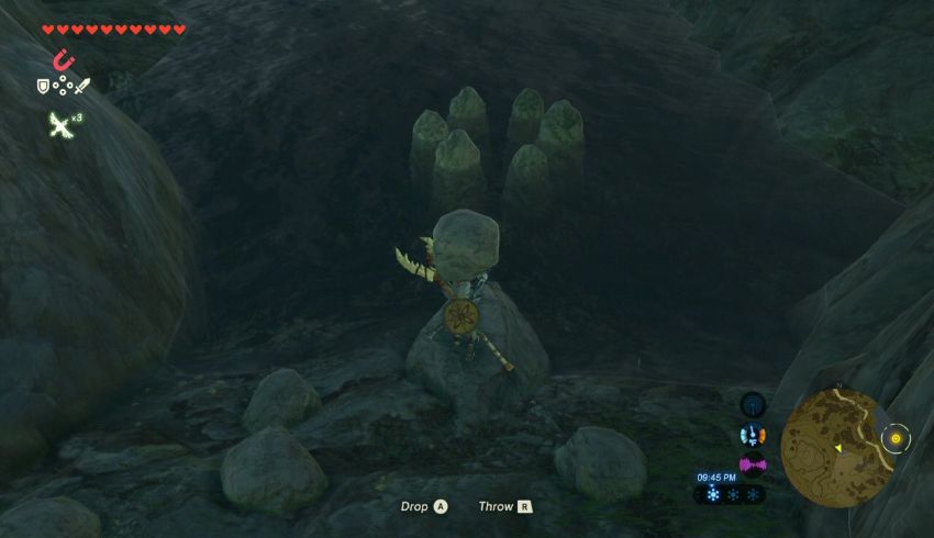 Lanayru Korok Seed Locations Zelda Dungeon