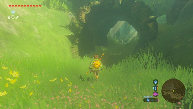 zelda breath of the wild how to use extra hearts to get master sword