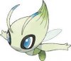 celebi.jpg