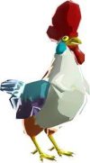 Cucco.jpg