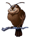 Owl.png