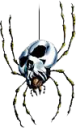 Skulltulaootart.png