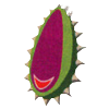 Bokobakaseed.png