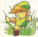 Link-In-Grass.jpg