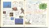 Zelda02-JapanManual-Page30-31.jpg
