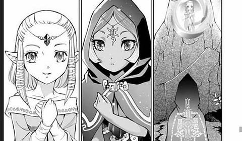 Daily Debate: What Has Been the Twilight Princess Manga's Best Change or  Addition? - Zelda Dungeon